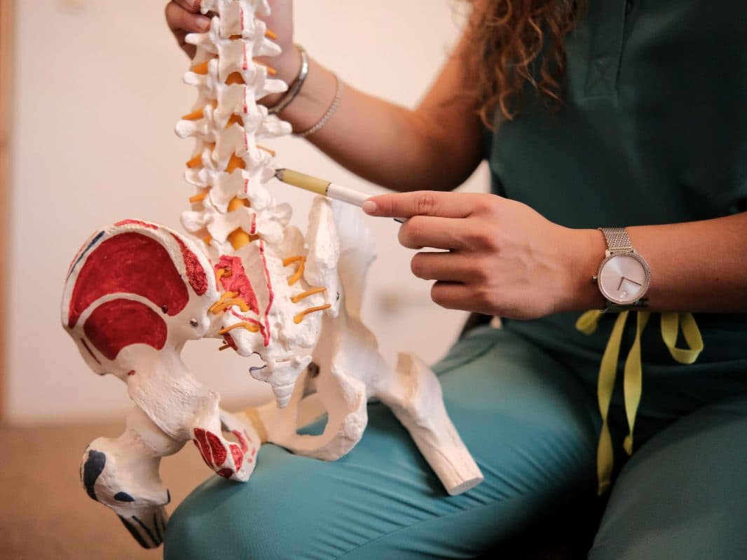 Doctor pointing at a spine model